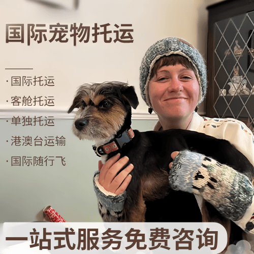 厦门市国际宠物托运到阿根廷宠物入境规定和要