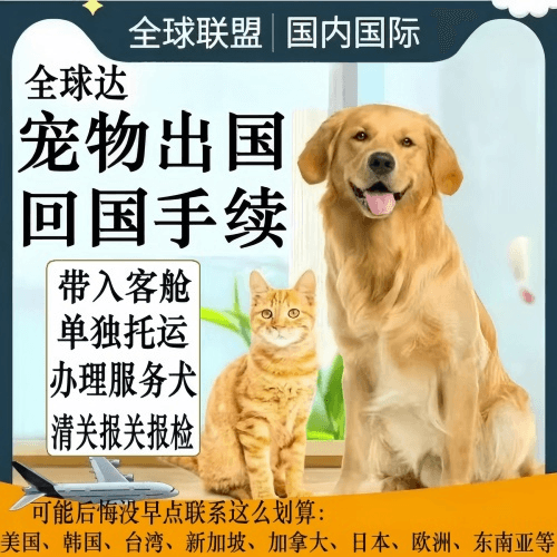 厦门市宠物托运到柬埔寨宠物入境规定和要求