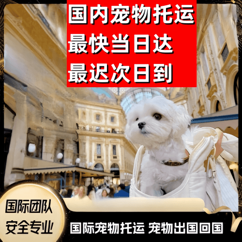 厦门市到澳大利亚（澳洲）宠物入境规定和要求