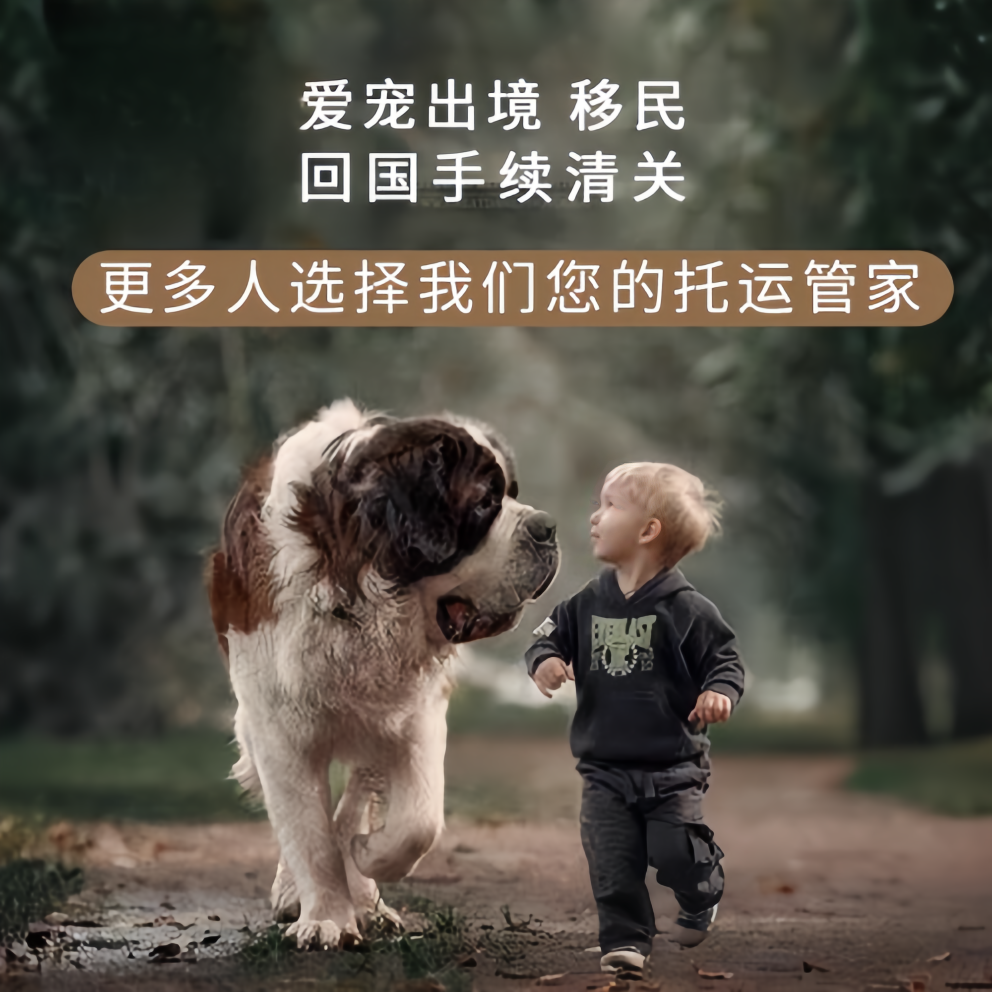 满财厦门市宠物全球达宠物托运在遵守入境目的地政策的条件