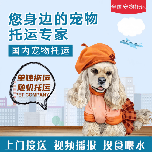 满财厦门市宠物全球达宠物托运作为专业的宠物运输代理机构
